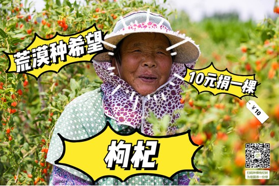 10元种下希望树——宁夏项目地防疫生产两不误