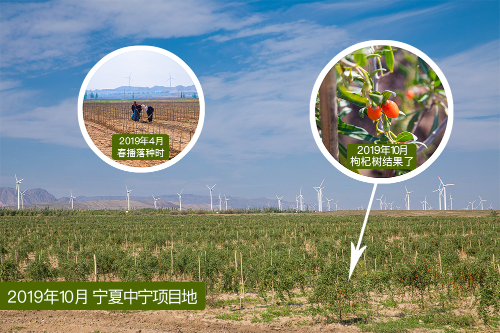 中宁项目地.jpg
