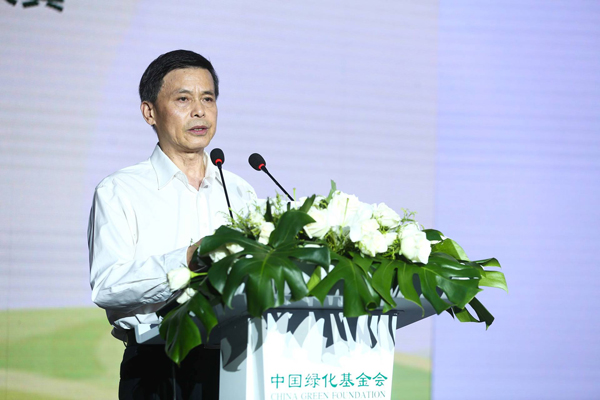 20196795816-im.jpg