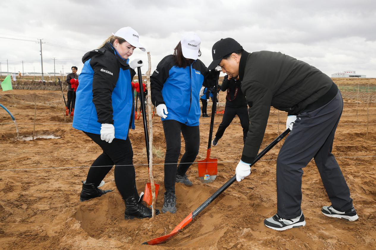 668a866c19bd4e58b8e6aa2c170941c3.png 668a866c19bd4e58b8e6aa2c170941c3.png