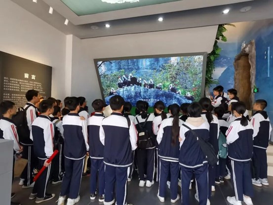 图片6.jpg