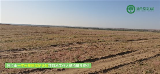 一平米草原保护计划项目进展