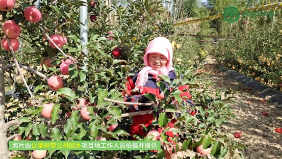 让果树带父母回乡-04