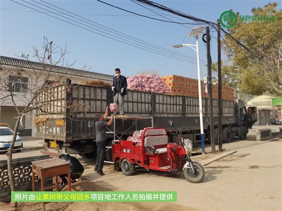 让果树带父母回乡-01