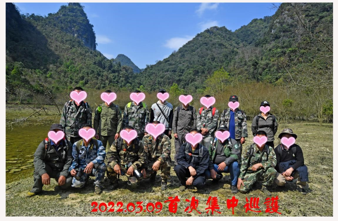 秘境下的白头叶猴项目反馈