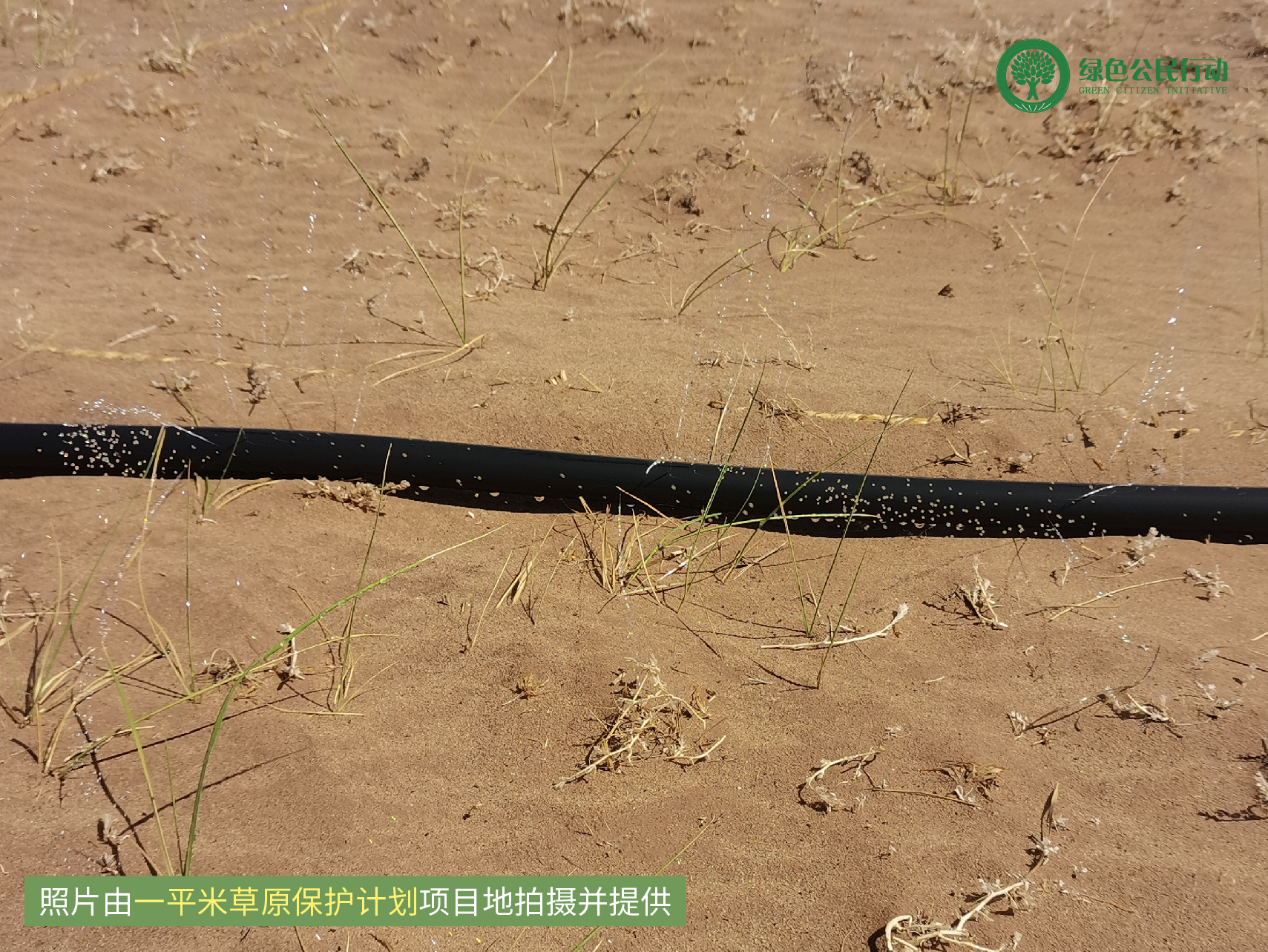 一平米草原保护计划项目进展