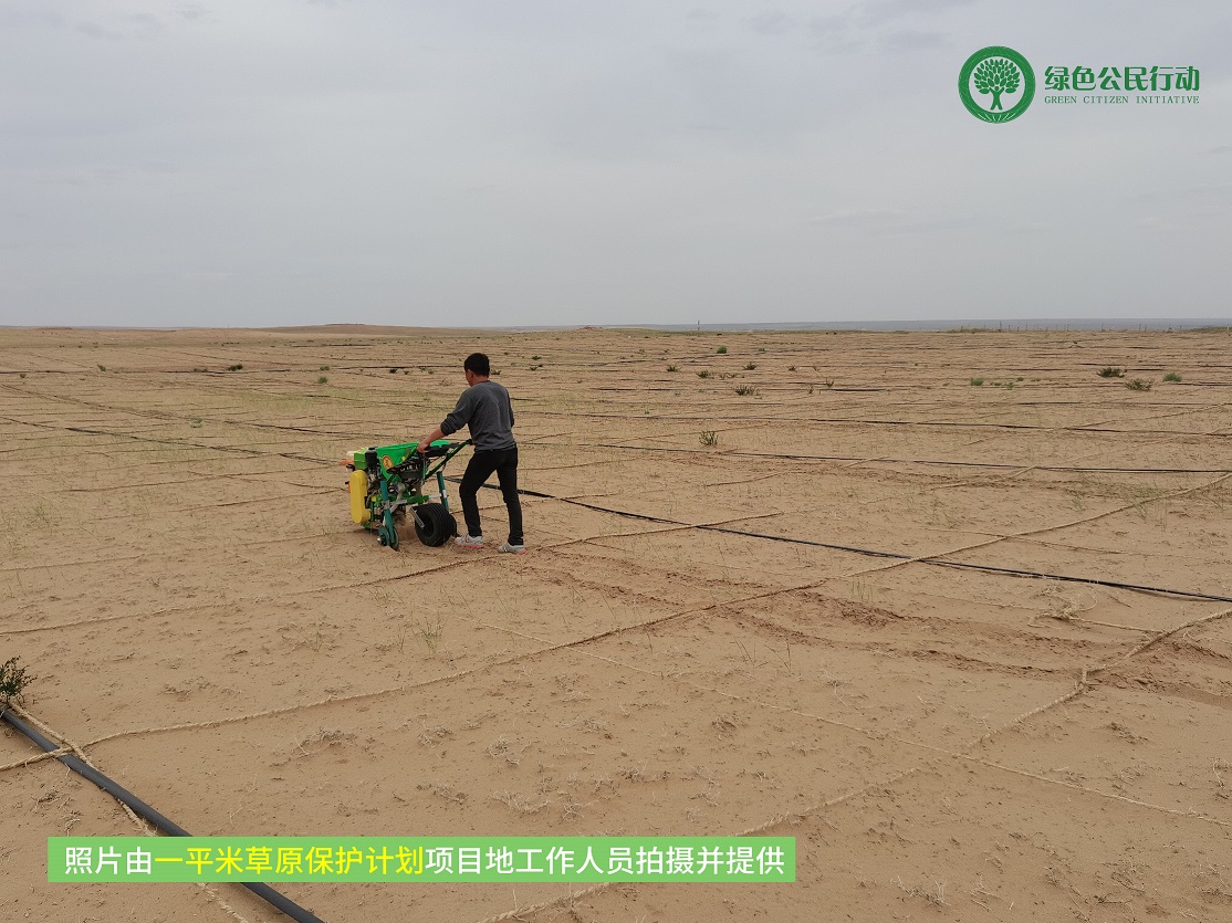 一平米草原保护计划项目进展