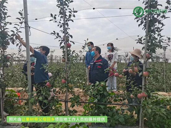 让果树带父母回乡-04