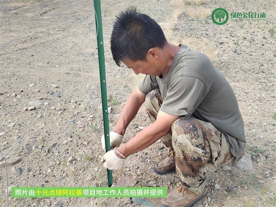 十元点绿阿拉善-01
