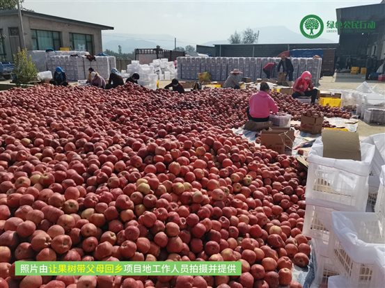 让果树带父母回乡-03