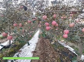 微信图片_20241023094451