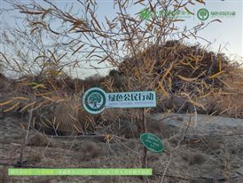 IMG_20241106_190028