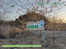 IMG_20241106_185903