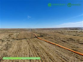 一平米草原保护计划项目进展11月