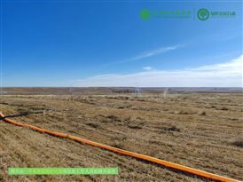 微信图片_20241130153651