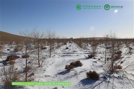 我有一片胡杨林|甘肃项目区项目进展9-11月
