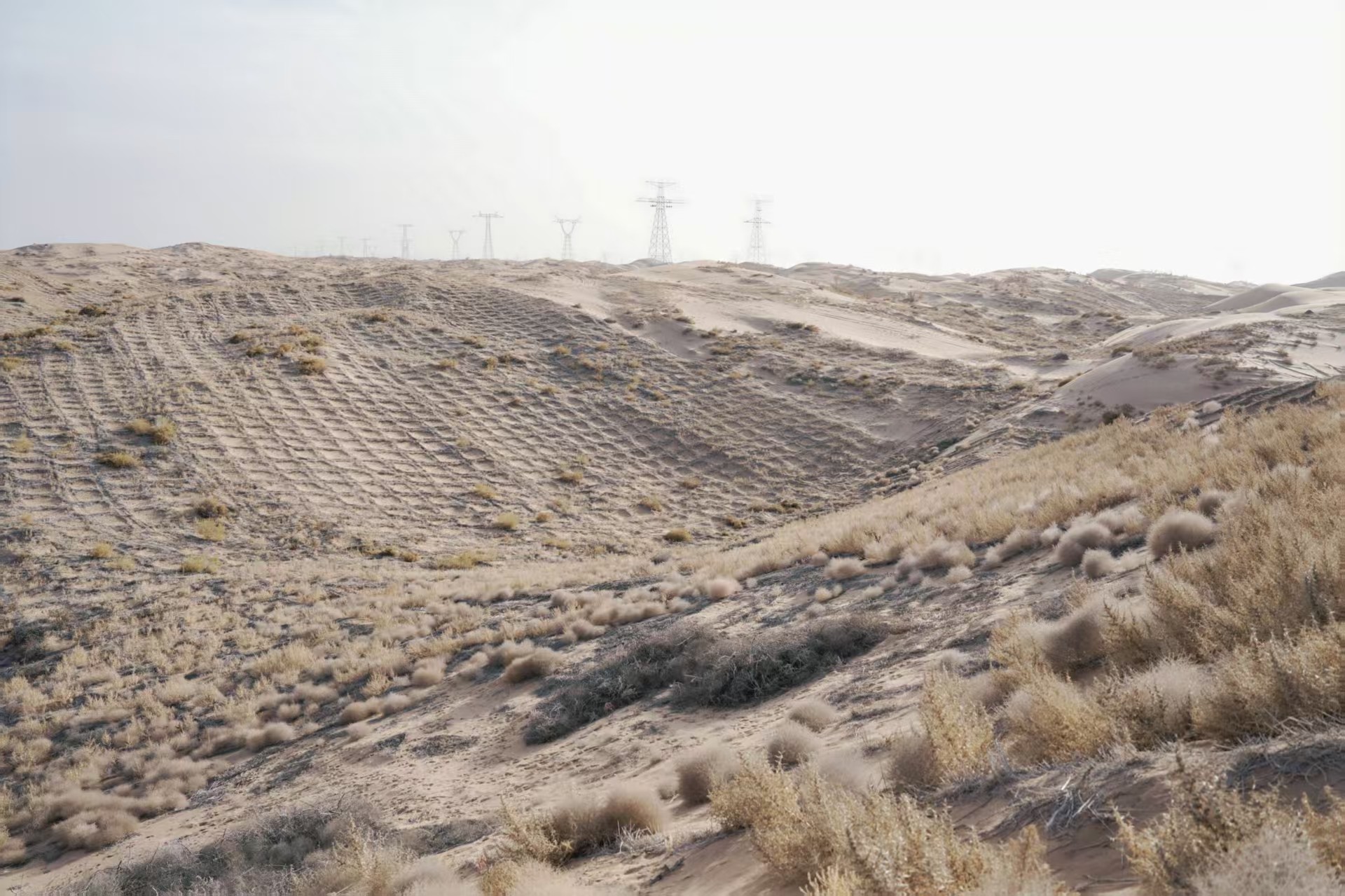 4ea977eaf77d7dfcf462ba02e93d0608.jpg 4ea977eaf77d7dfcf462ba02e93d0608.jpg