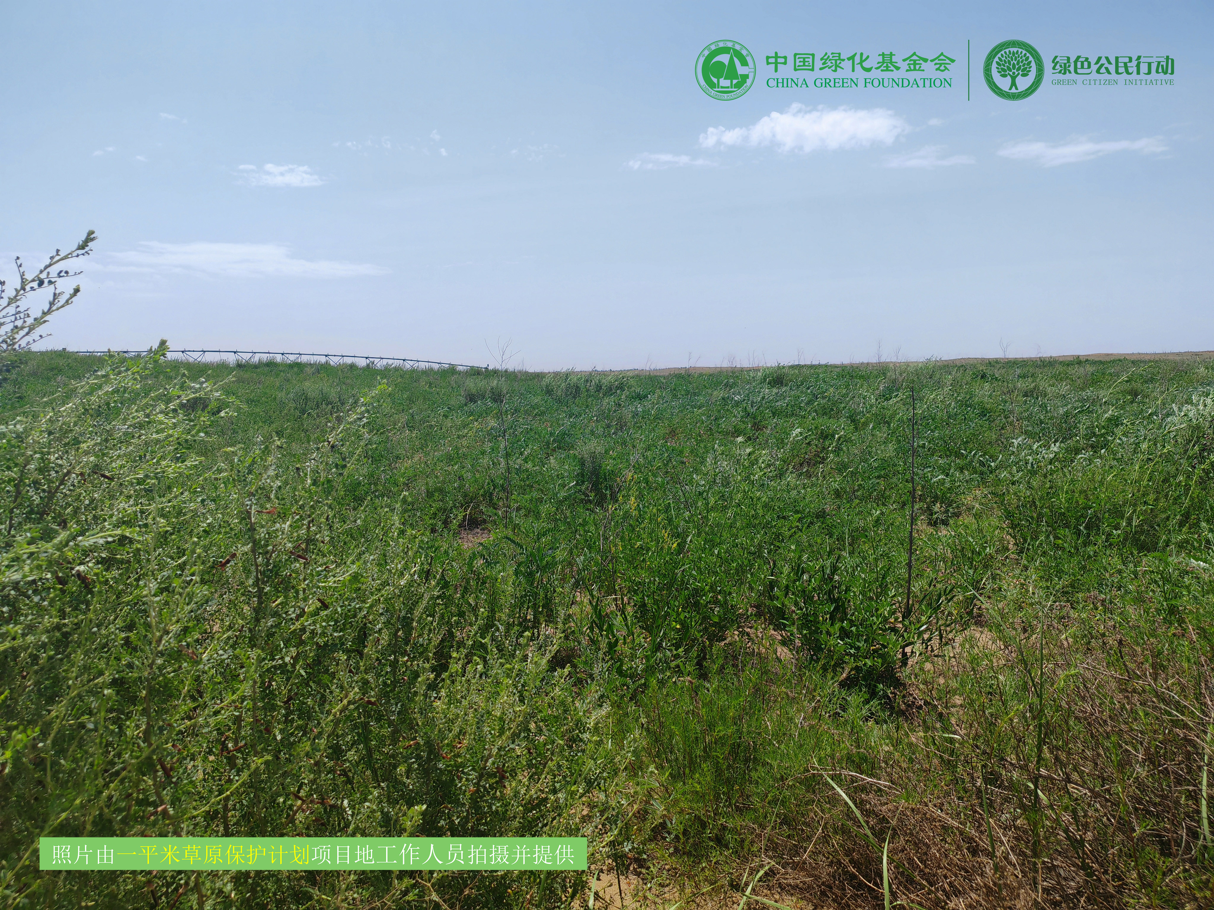 一平米草原保护计划项目进展12月