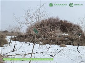 IMG_20250101_143235
