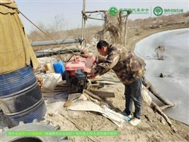 我有一片胡杨林|新疆 项目进展2月
