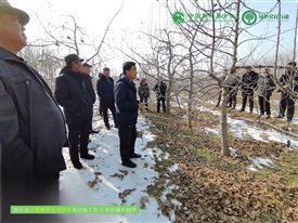微信图片_20241225102253