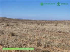 微信图片_20250212180352