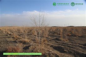 微信图片_20250225103356