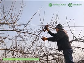 微信图片_20250226111114