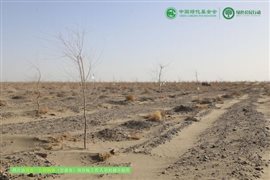微信图片_20250225103428