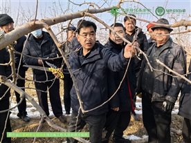 微信图片_20241225102225