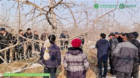 让果树带父母回乡项目进展1-2月
