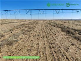 微信图片_20250212180201