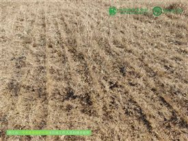 微信图片_20250212180422