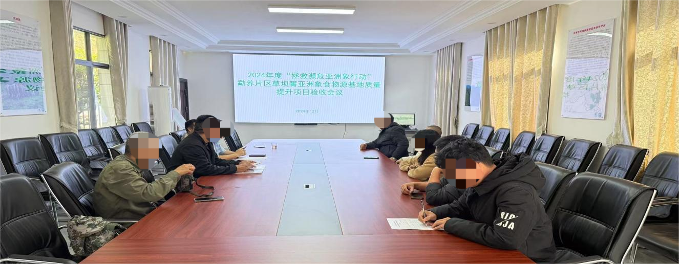 亚洲象项目进展