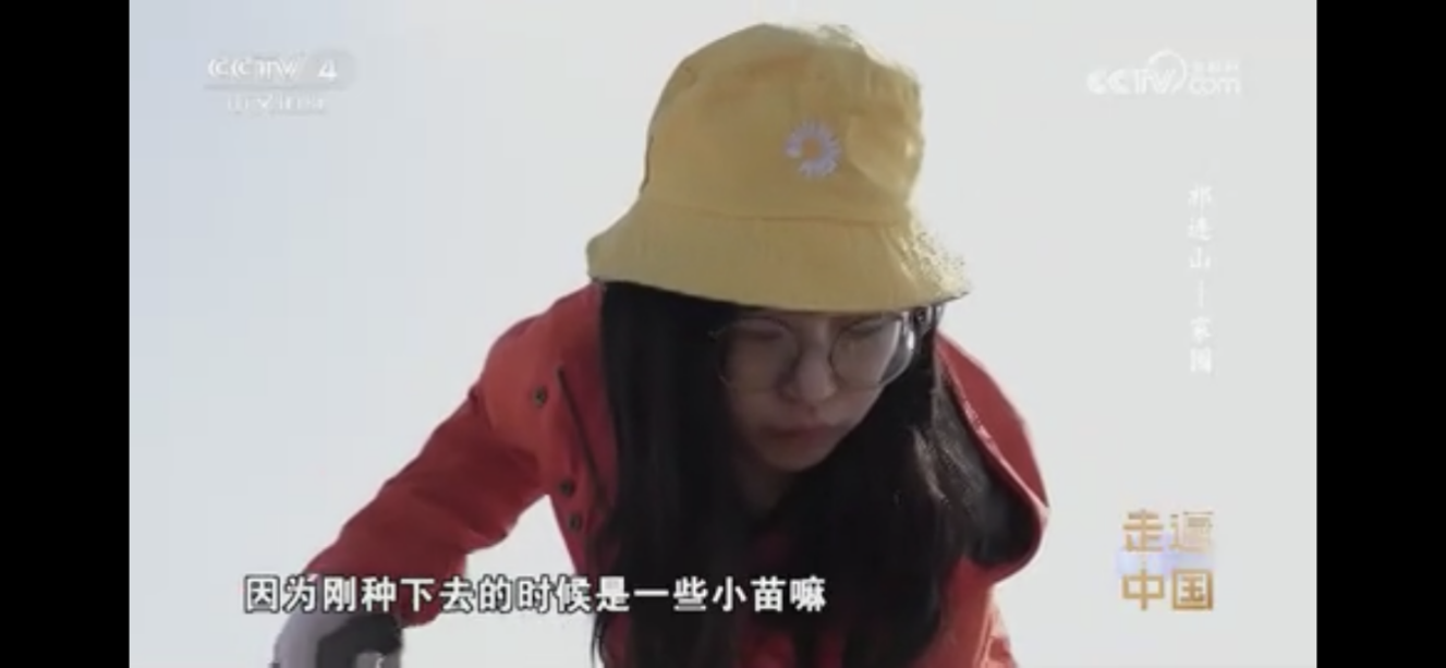 444.png