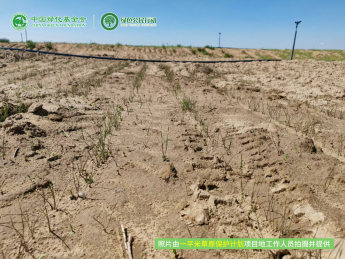 一平米草原保护计划项目进展8月