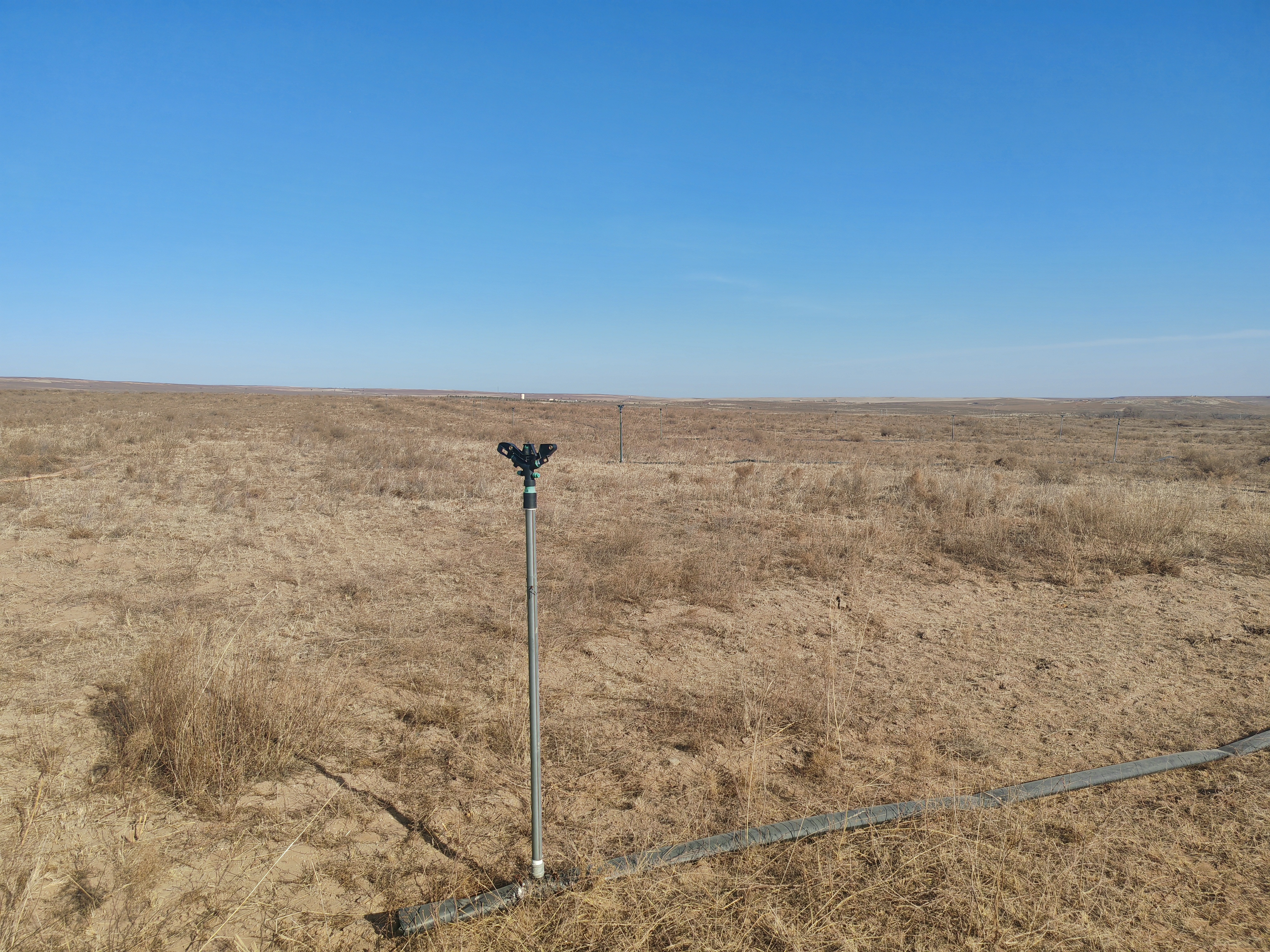 一平米草原保护计划