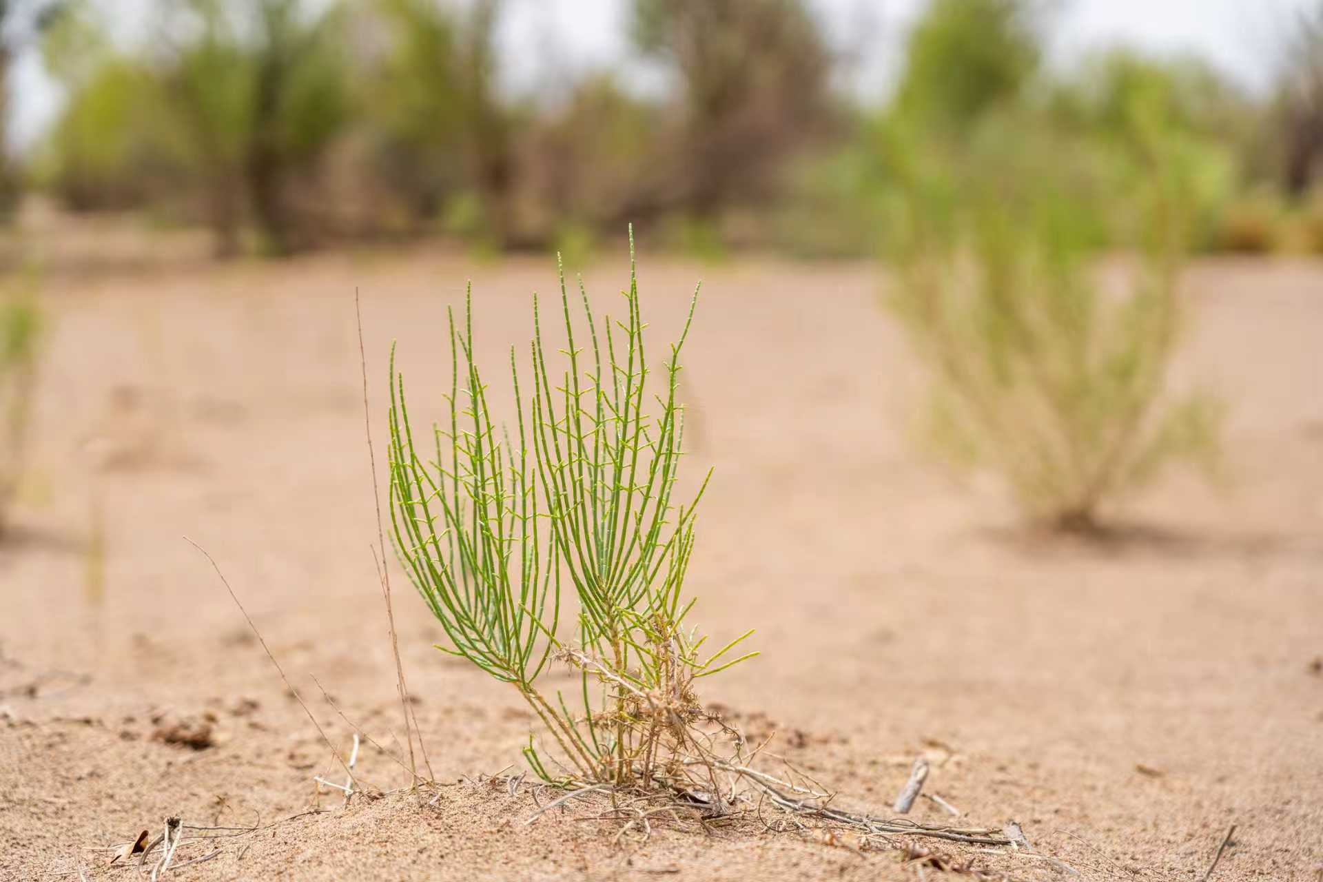 ccd51d6009948d260c0af7fae7d203e2.jpg ccd51d6009948d260c0af7fae7d203e2.jpg