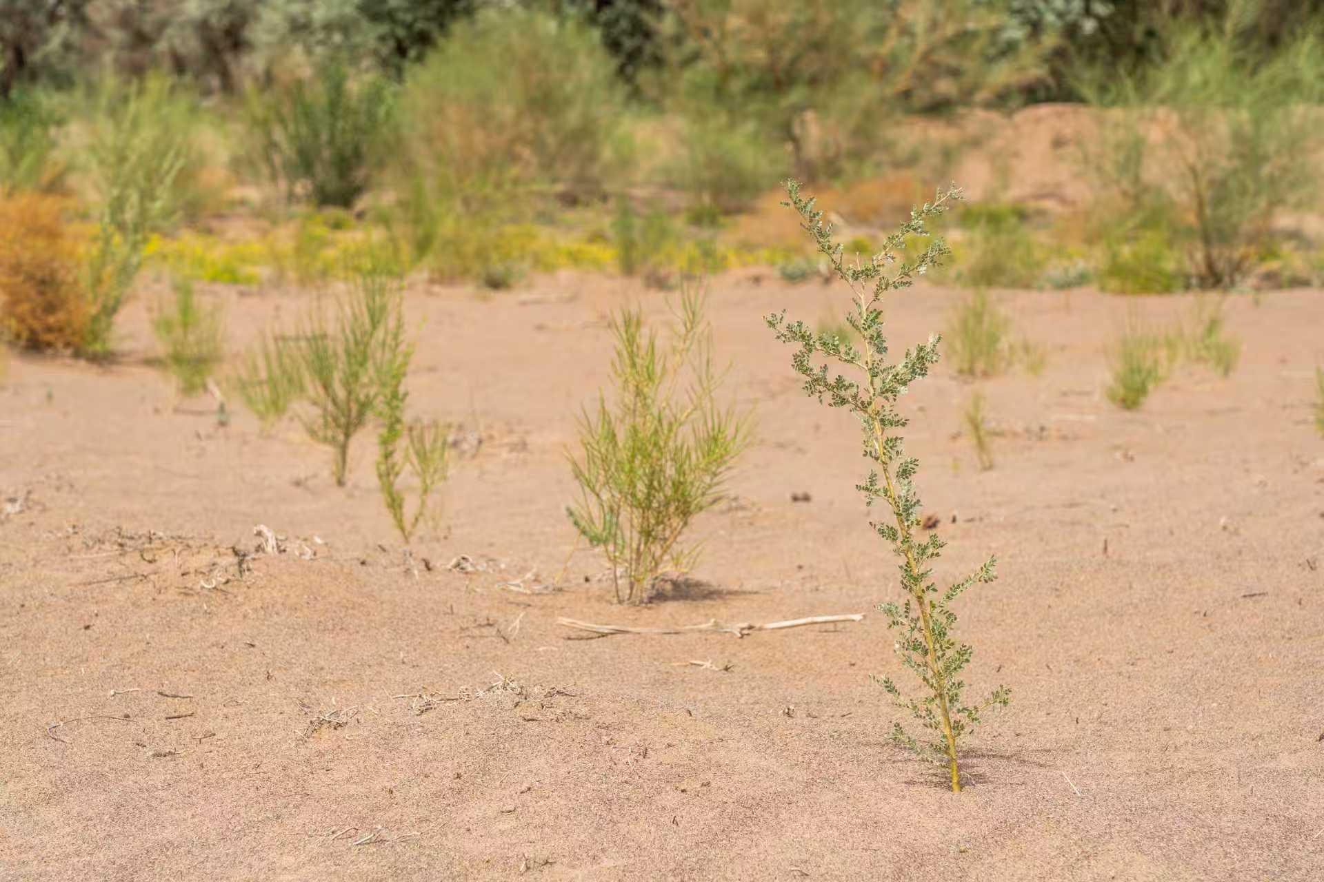 9afb8964008134c84e3826b446c05494.jpg 9afb8964008134c84e3826b446c05494.jpg