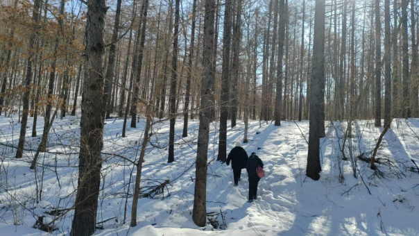 虎豹同行 见证守护